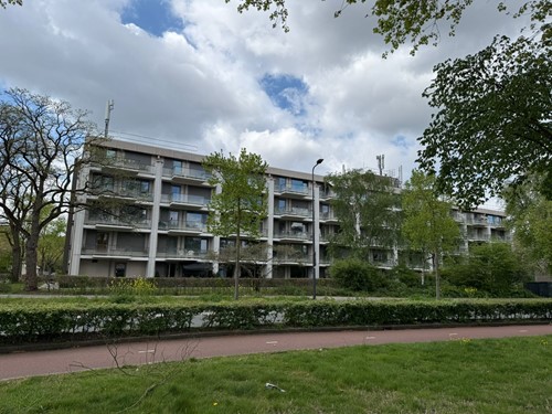 Afbeelding Den Bosch 1