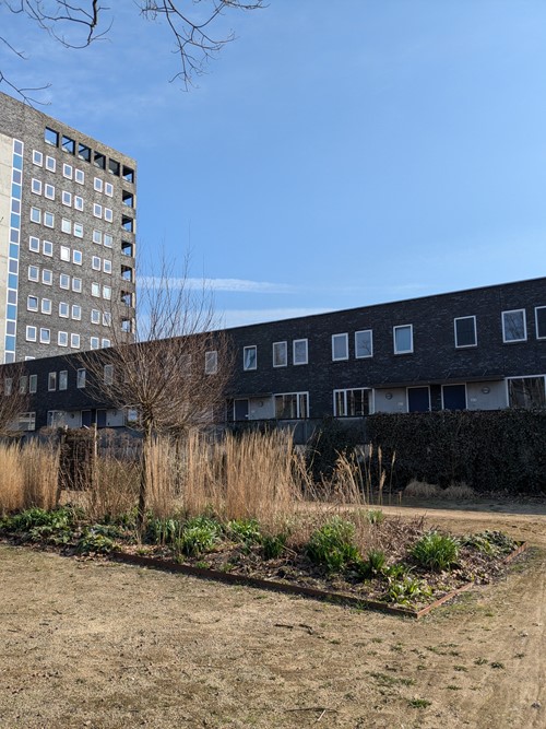 Afbeelding Groningen 6