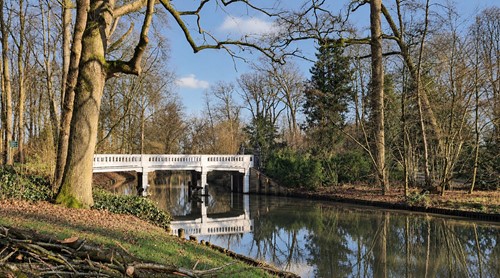 Afbeelding Bunnik