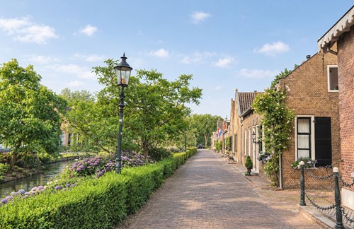 Afbeelding Drimmelen