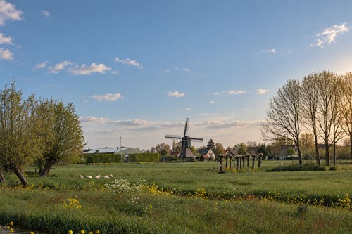 Afbeelding Molenlanden