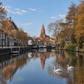 Montfoort
