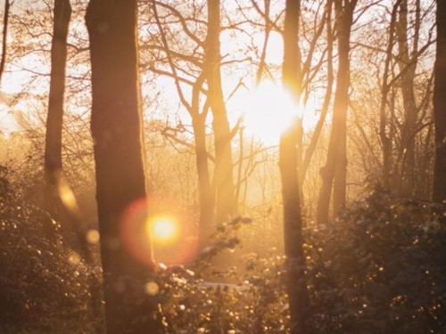Afbeelding Reeuwijk-Bodegraven