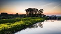 Waalwijk